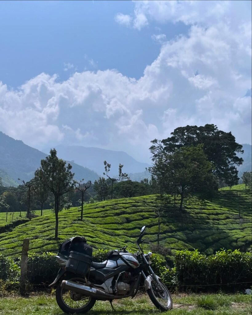 fki_20_1731851747_3503348838015767163_3412128374