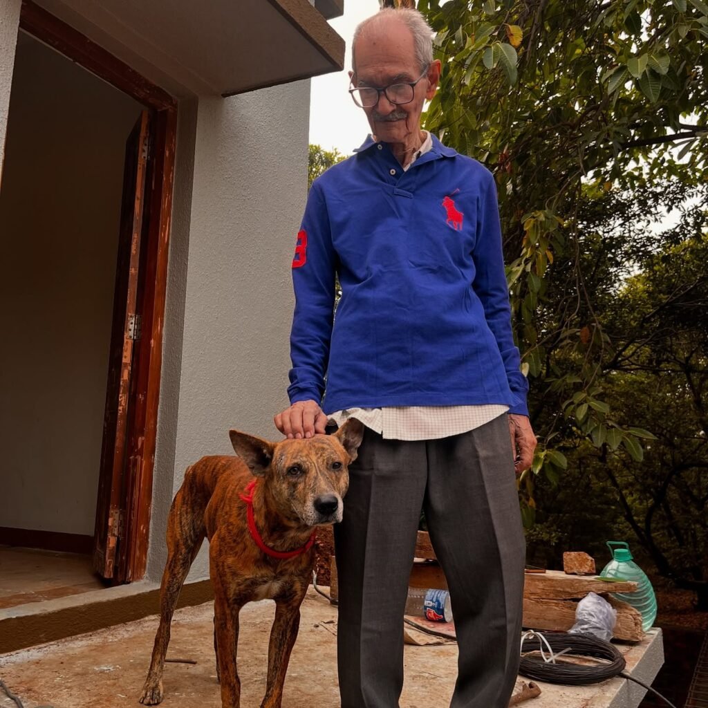 fki_20_1735450137_3533534320871708033_3412128374